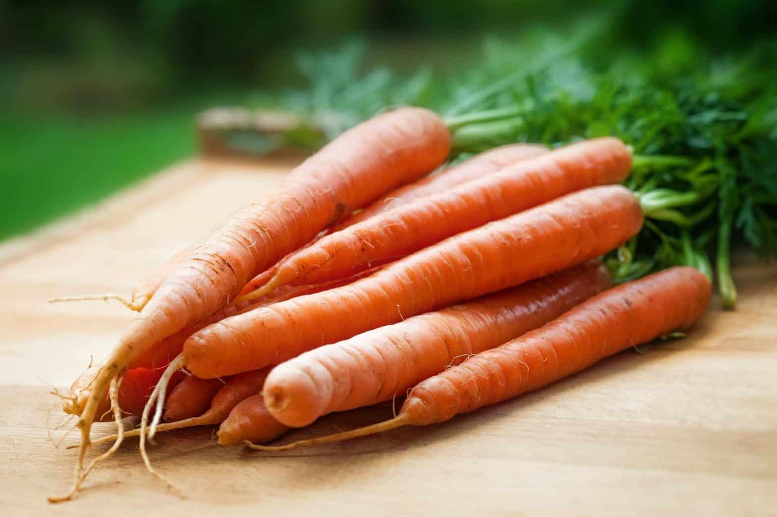 Are Carrots ManMade? The Garden Hows