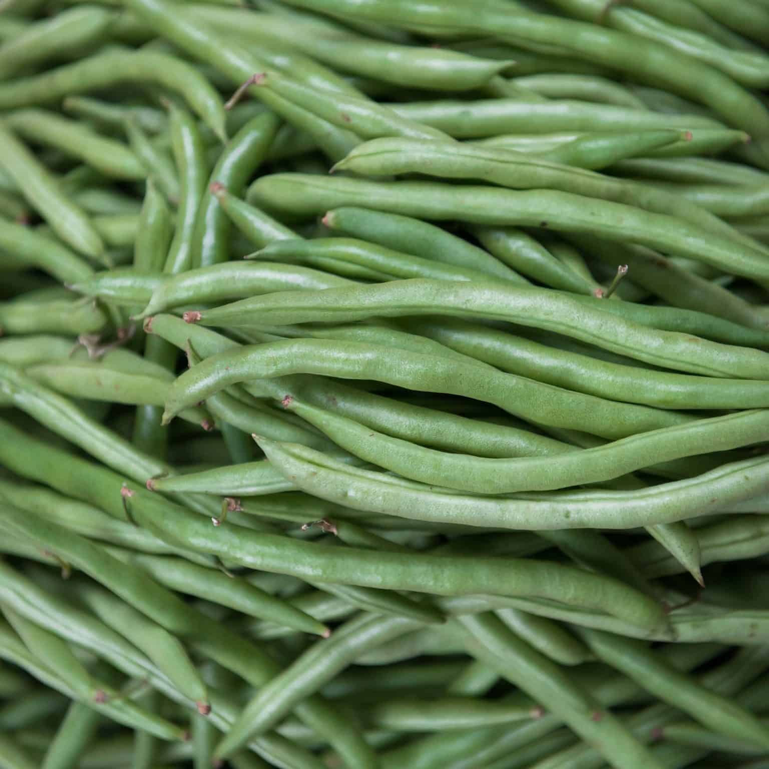 are-green-beans-fruits-or-vegetables-the-garden-hows