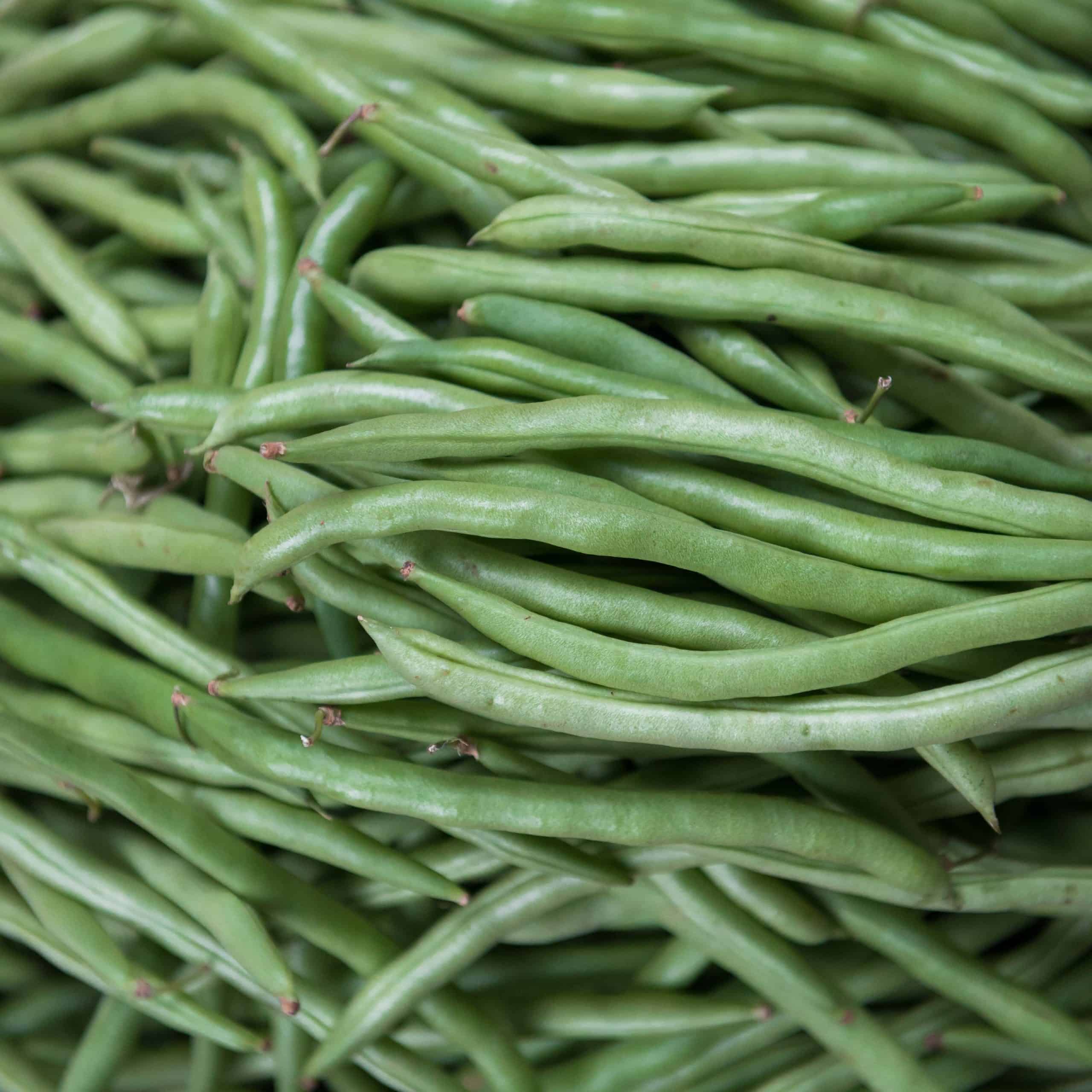 Are green beans fruits or vegetables?