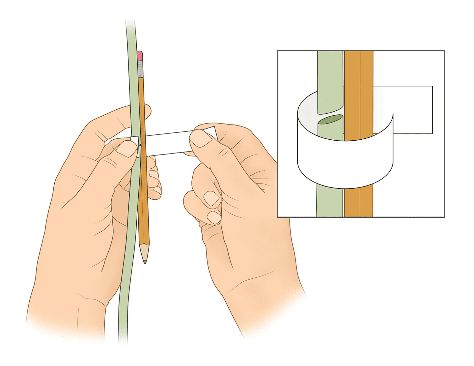 How to fix a broken plant stem (Step by Step Guide) The Garden Hows