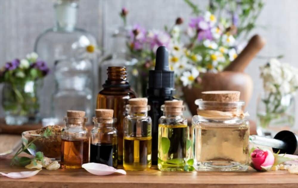 Using Essential Oils on Plants: 15 Oils and Benefits