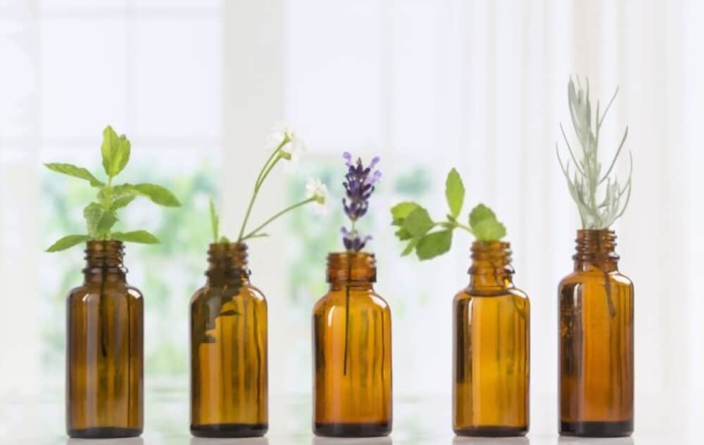 What type of Essential oil is Good for Plants?