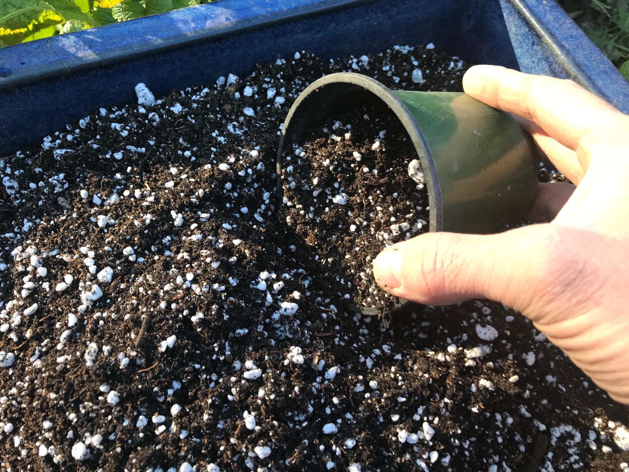 Reusing Perlite on Compost