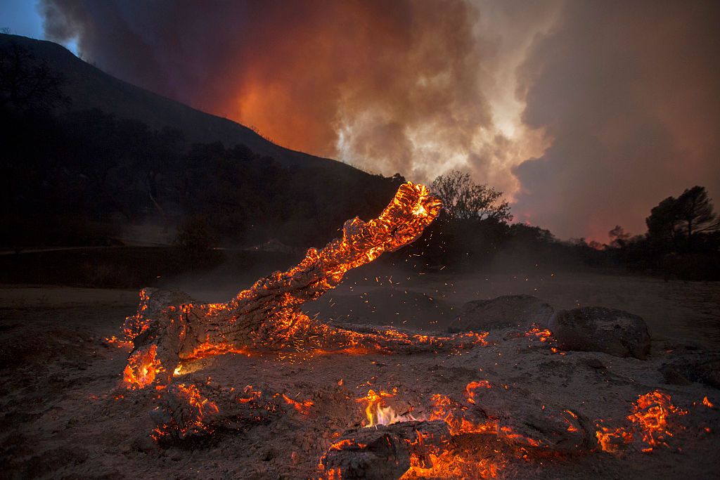 Can Sand Mulch Catch Fire? What You Should Know