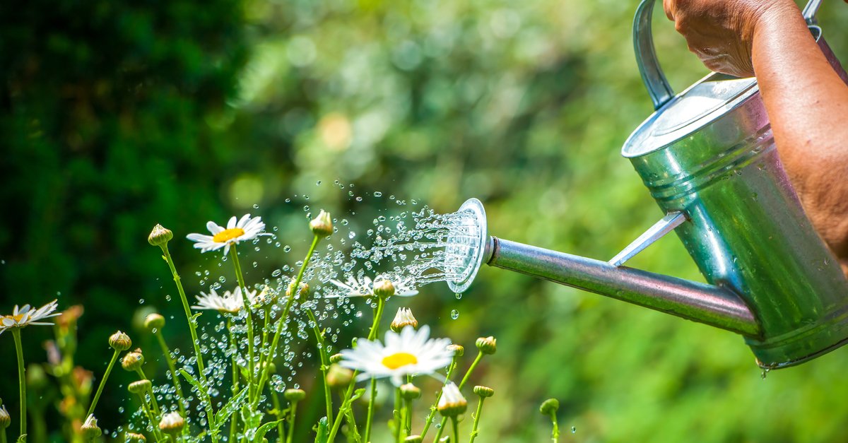 Why Should We Be Selective When Choosing The Type of Water?