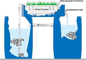 Are Blue Plastic Barrels safe for Aquaponics?