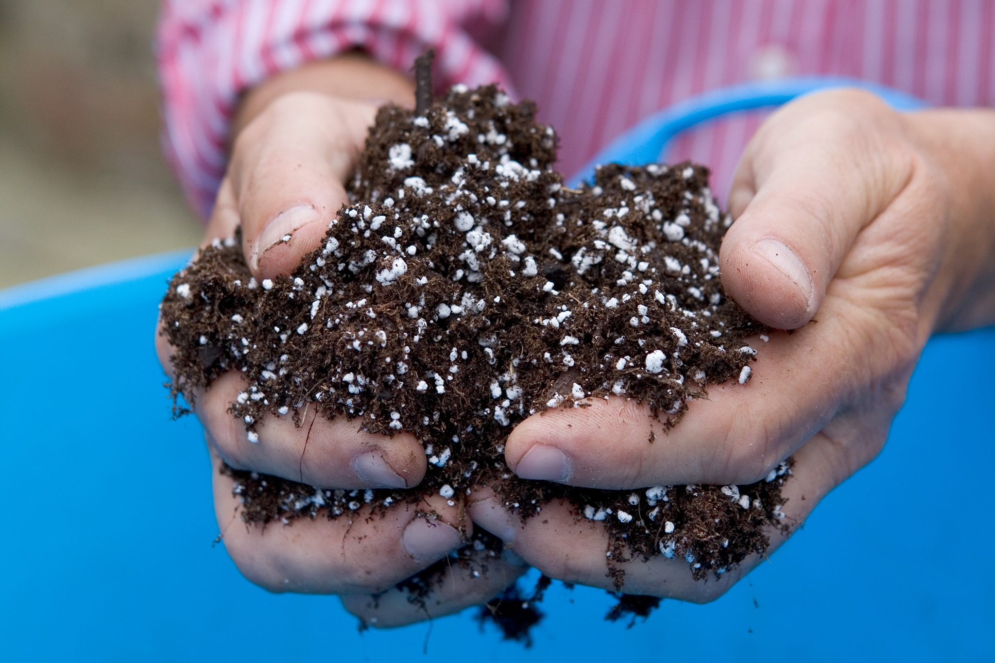 Can you put Perlite in Compost? Here’s When and Why
