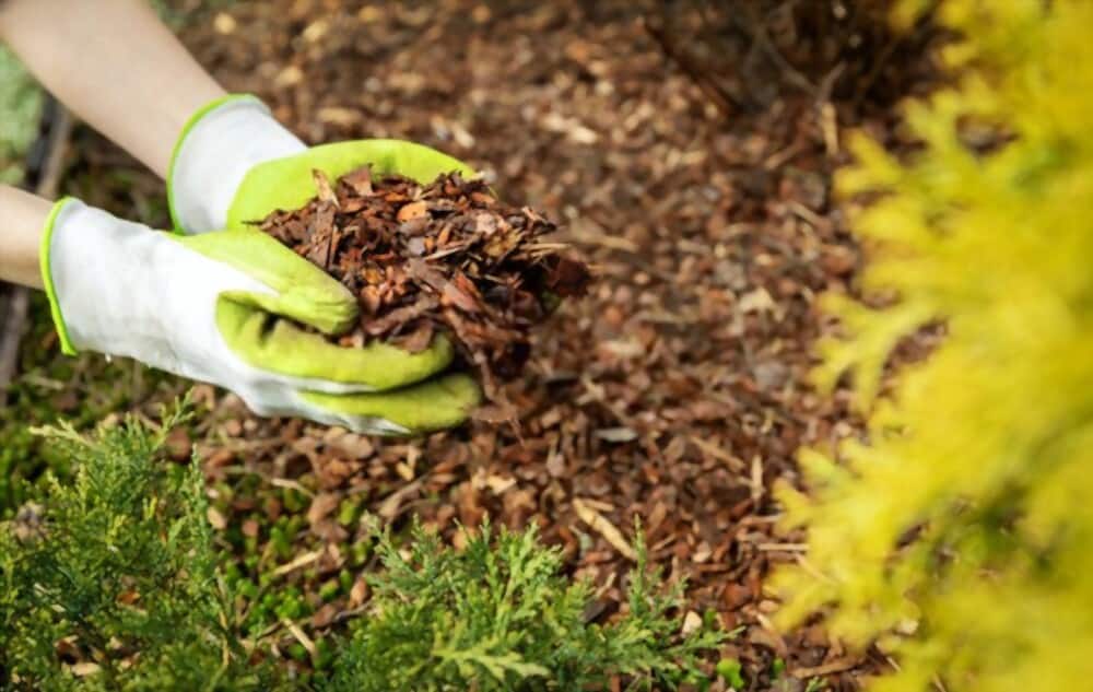Prevent Mulch From Washing Away: 6 Proven methods from experience