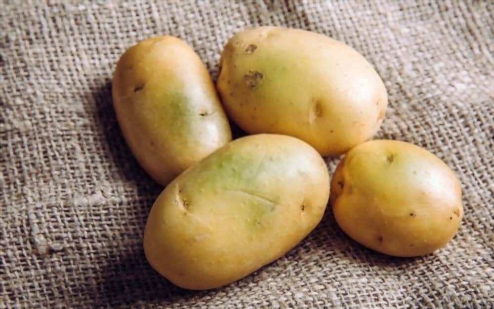 Why are Some Potatoes Green Inside?