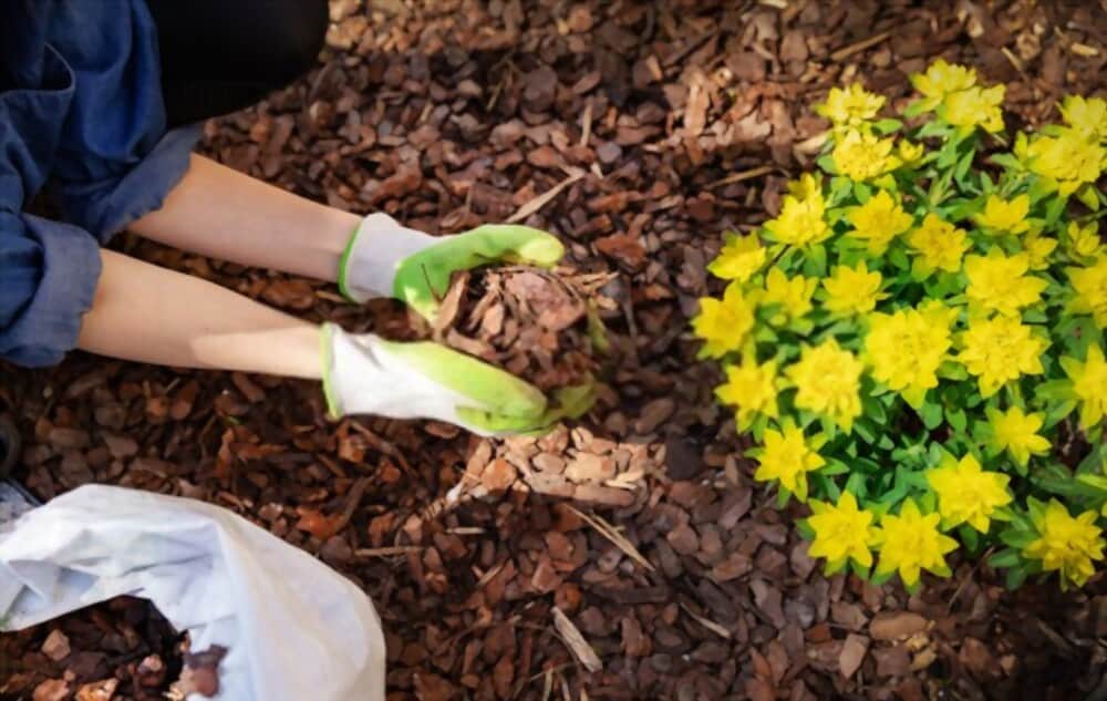 Can Old Mulch be Mixed into the Soil?