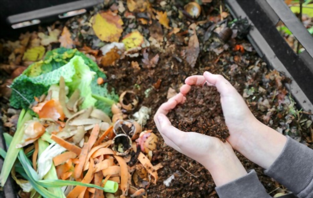 Is it Better to have a Compost Pile or a Bin?