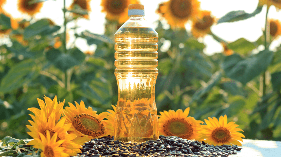 Using Vegetable Oil On Plants (What you should know first) The Garden