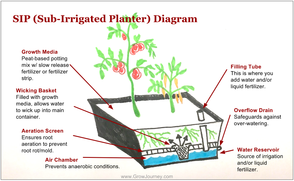 Bottom Watering System: Easy to use Watering System