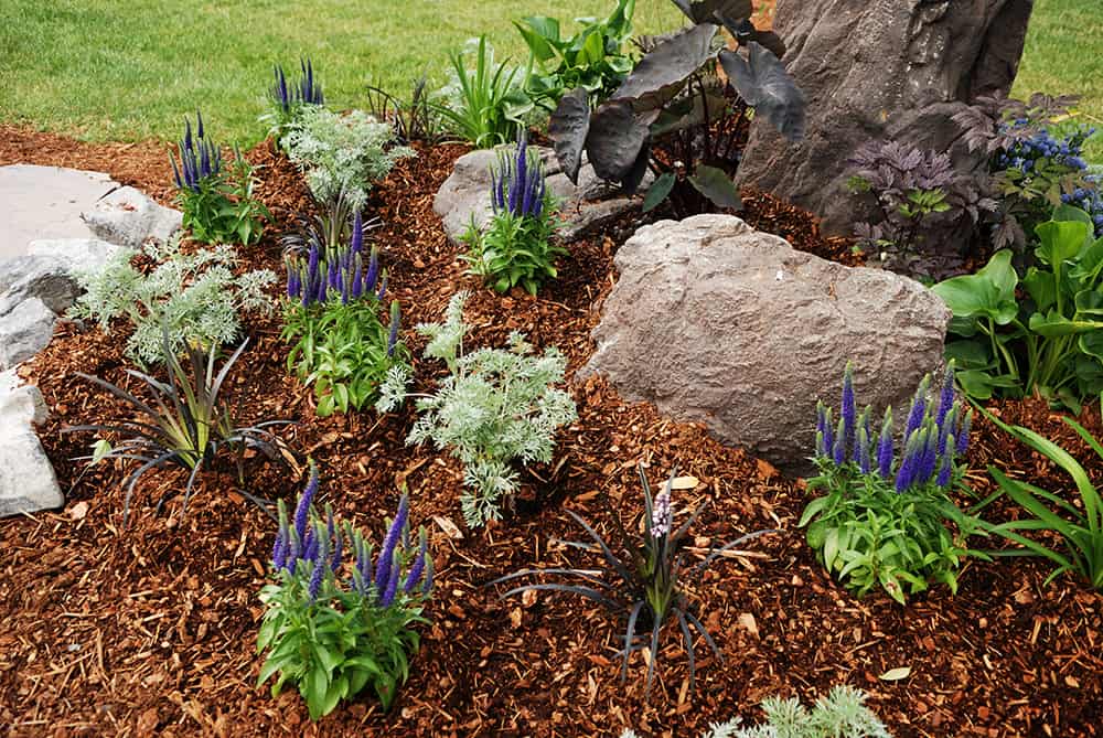 Is It Ok To Plant After You Mulch?