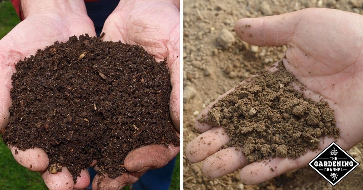 Can you Add Soil into a Compost Bin?