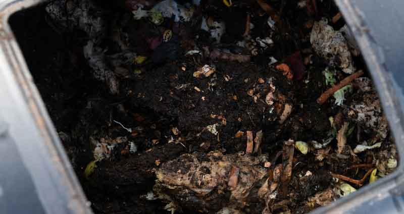 Adding Soil to Compost: Soil Type, Quantity & Problems