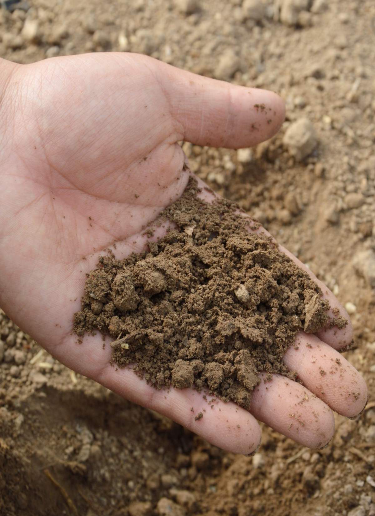 Can You Put Soil On Top Of Sand Thickness And Tips Explained The   Garden Soil Type 