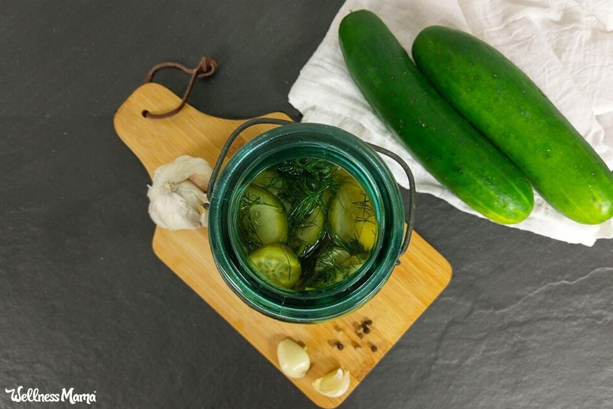 What Type of Cucumber is Used For Pickles?