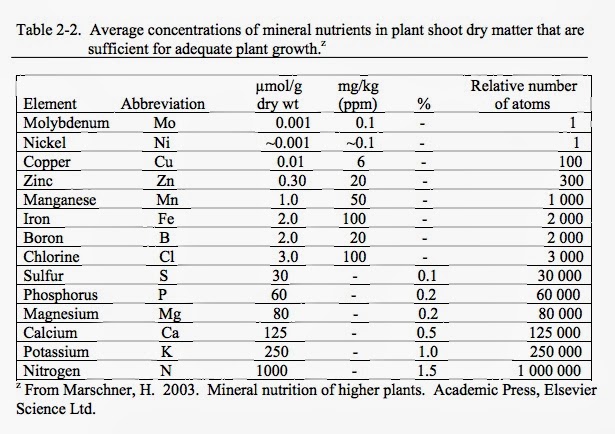 What Affects the Availability of Nutrients 