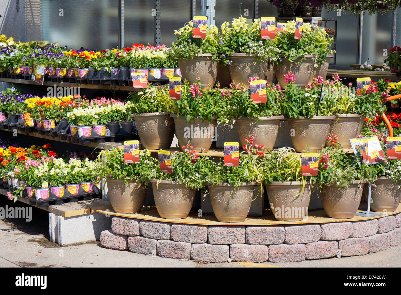 Can Plants be Left in the Container It Came in? Here’s Why