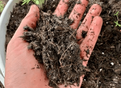 Dry Soil