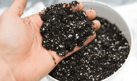 Styrofoam in Soil