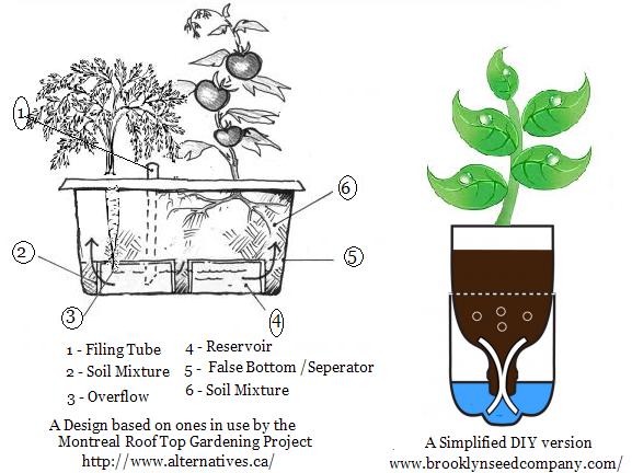 What Are The Benefits of the Bottom Watering System?