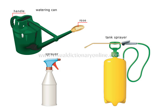 Best Water For Seedlings: This Water Gets the Best Results