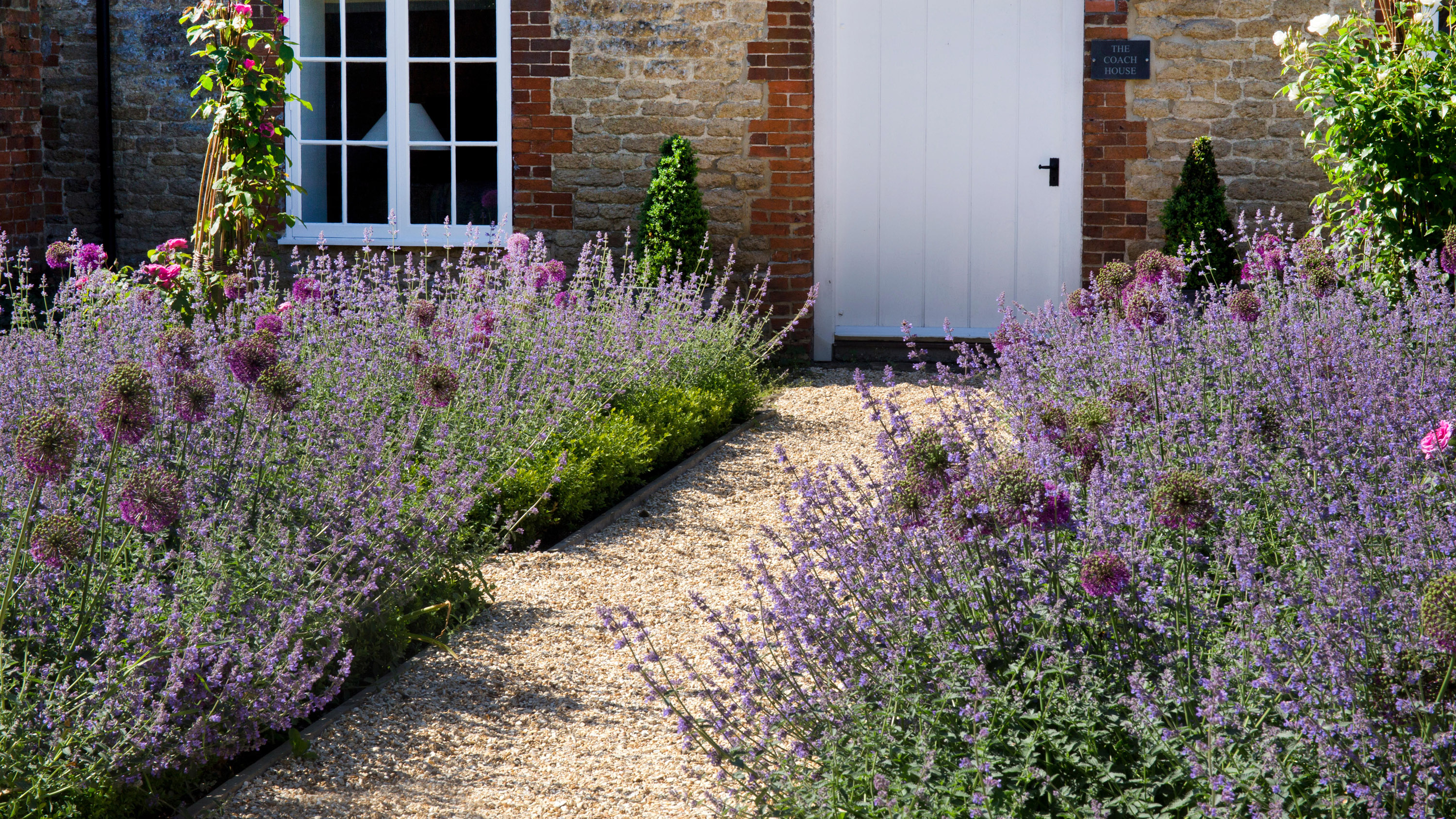 Why Spring is the Best Time to Plant Lavender