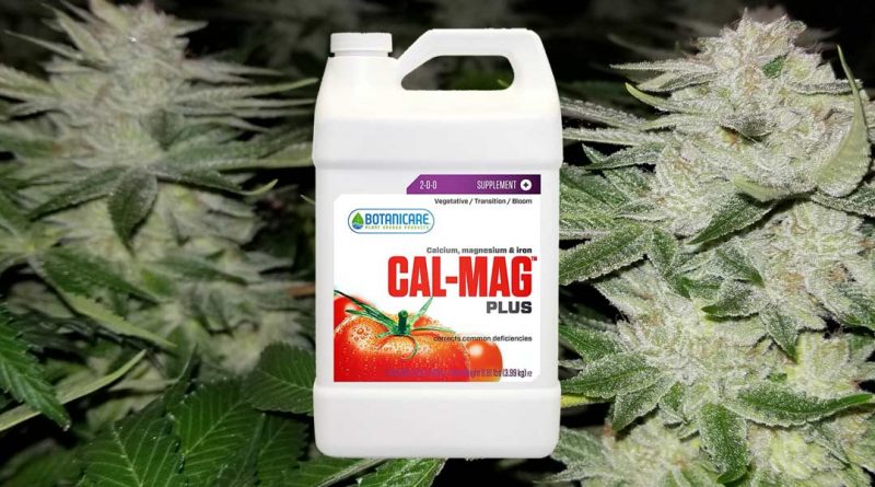 A Final Word About Cal-Mag for Plants
