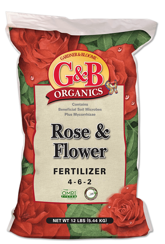 How to Fertilize Roses Organically (5 Methods That Actually Work)