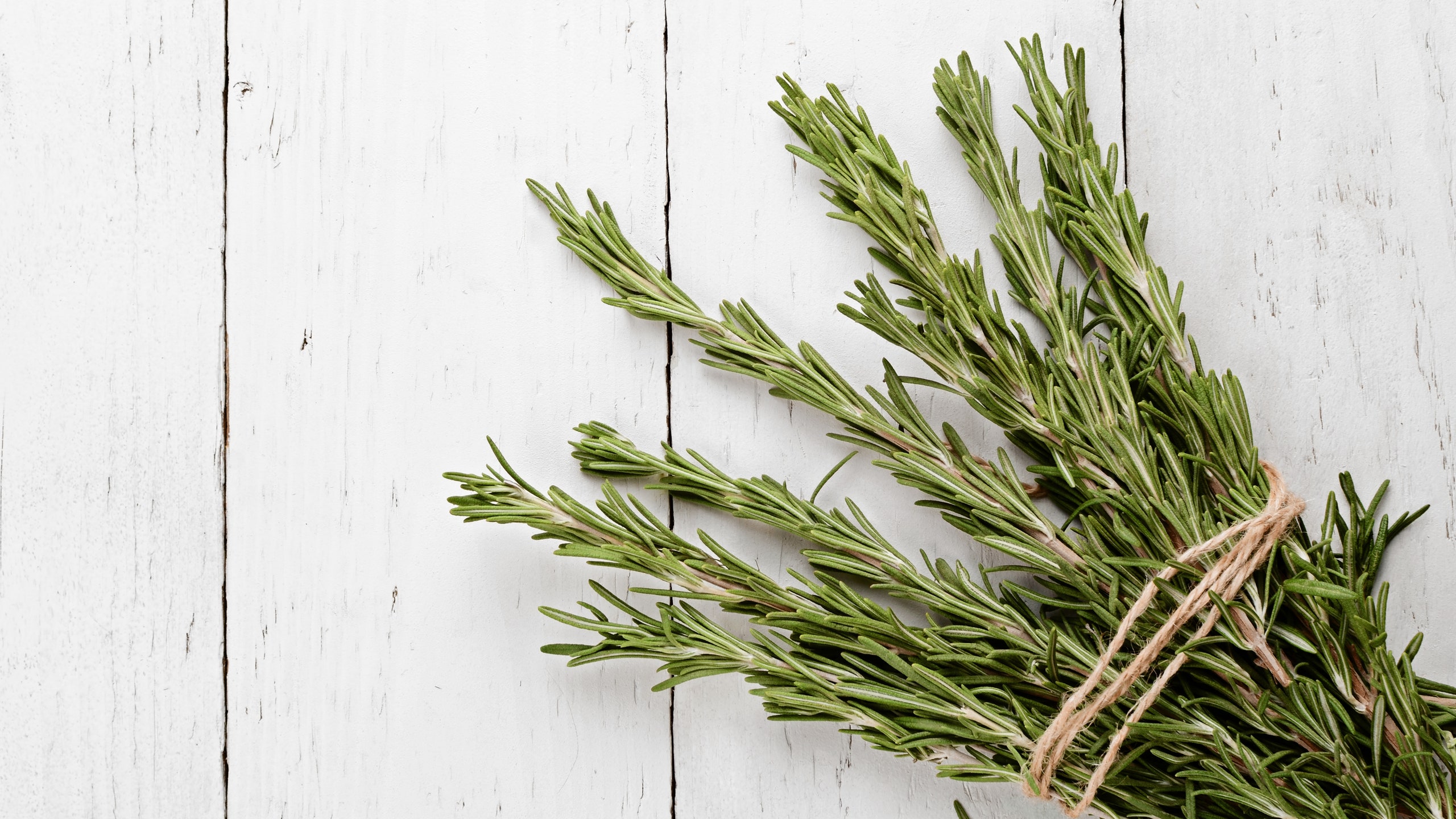 Use a Well Draining Potting Mix for Rosemary