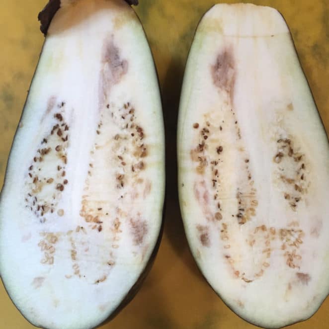 What Should The Inside of an Eggplant Look Like? (See If its Gone Bad)