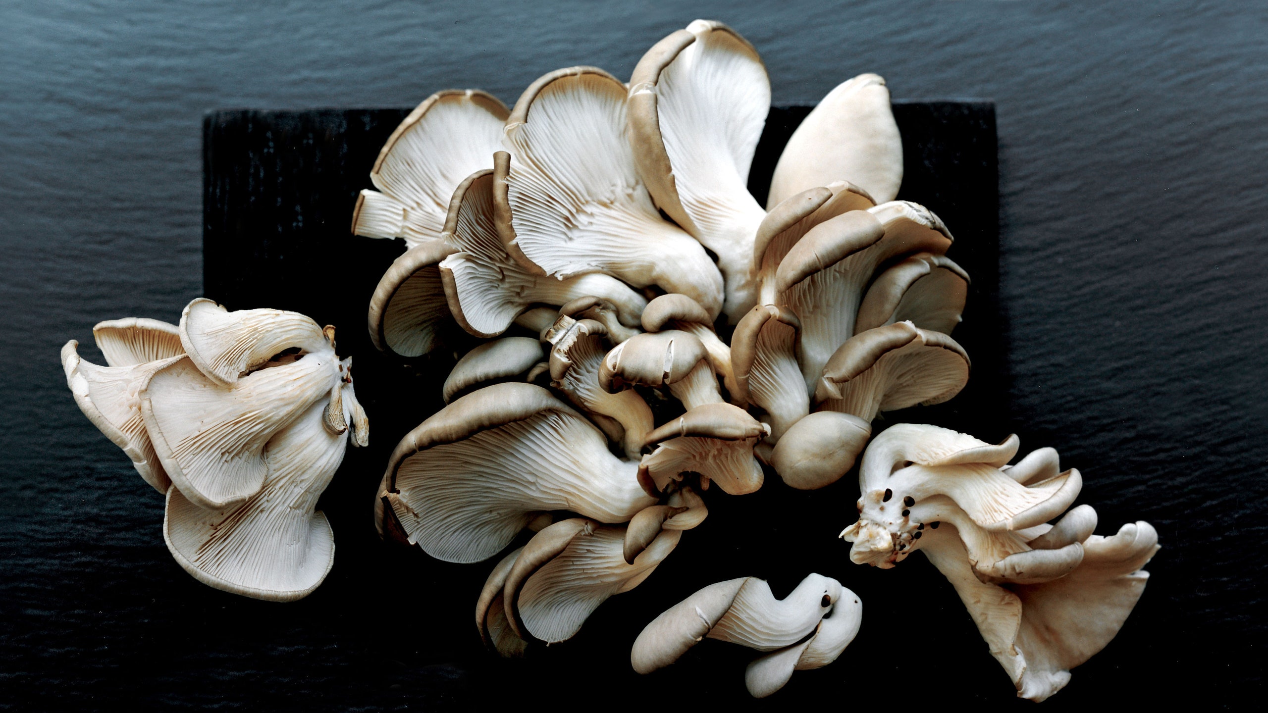 How fast do Cremini Mushrooms grow?