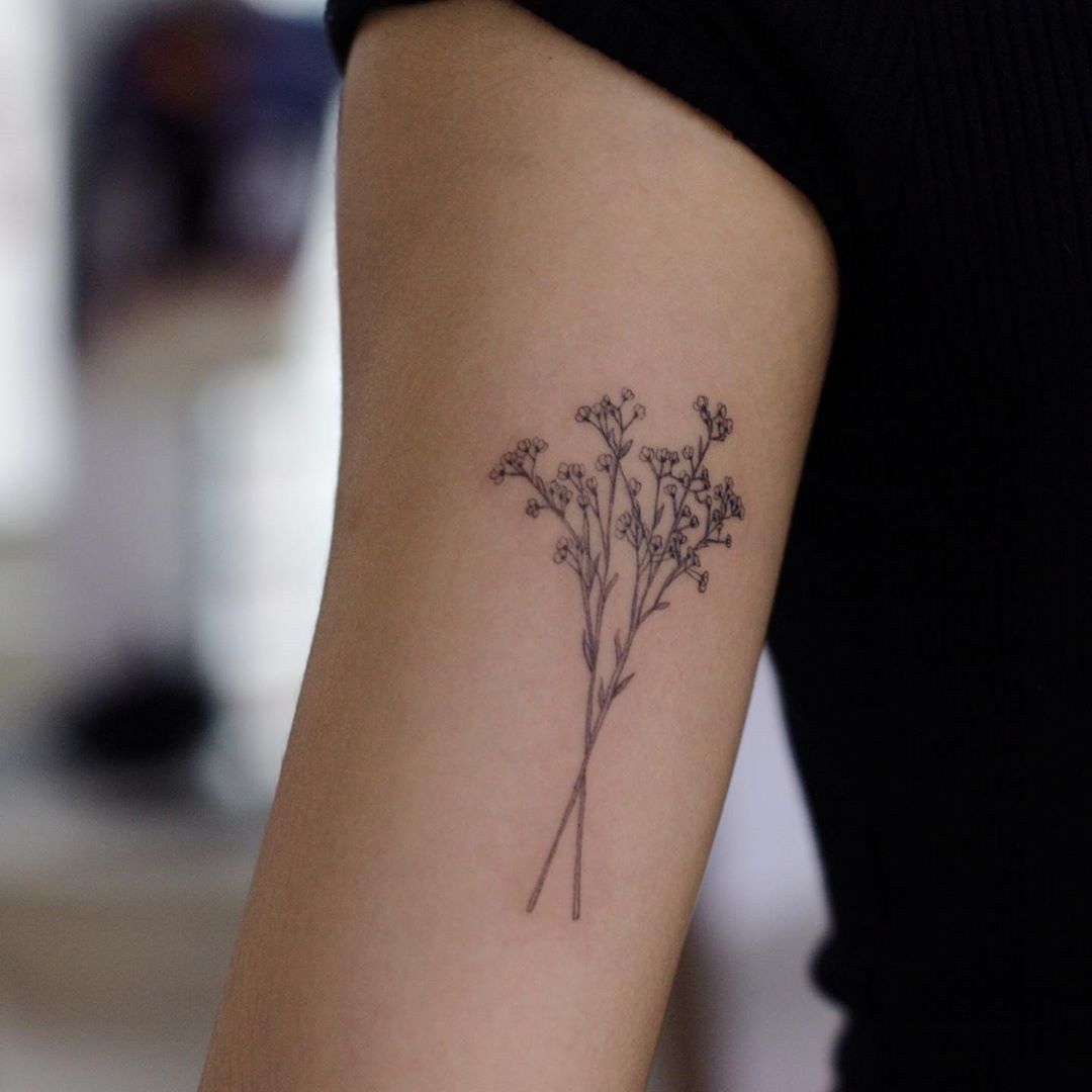 Baby’s Breath Meaning – Flower, Death, Colors, Gypsophila Tattoo, Chinese