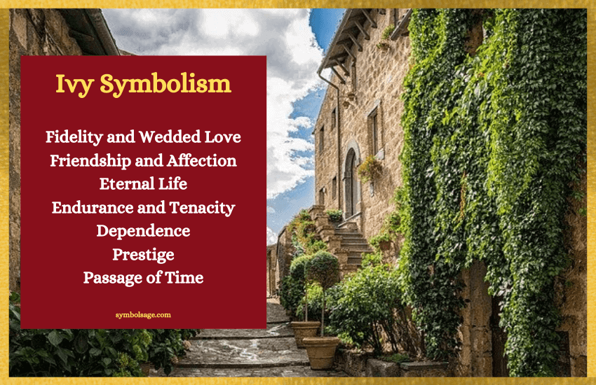 Ivy Symbolism – Flower Meaning, Spiritual(What Does it Represent)