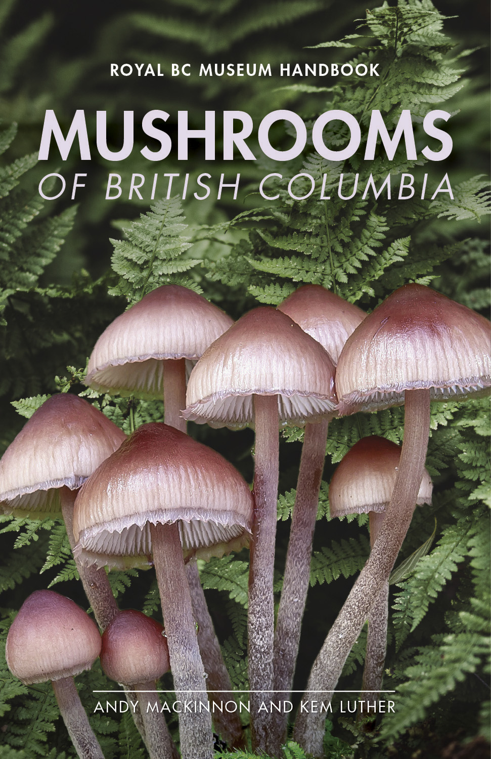 Are Mushrooms Decomposers? Benefits, Detritivores, Worms