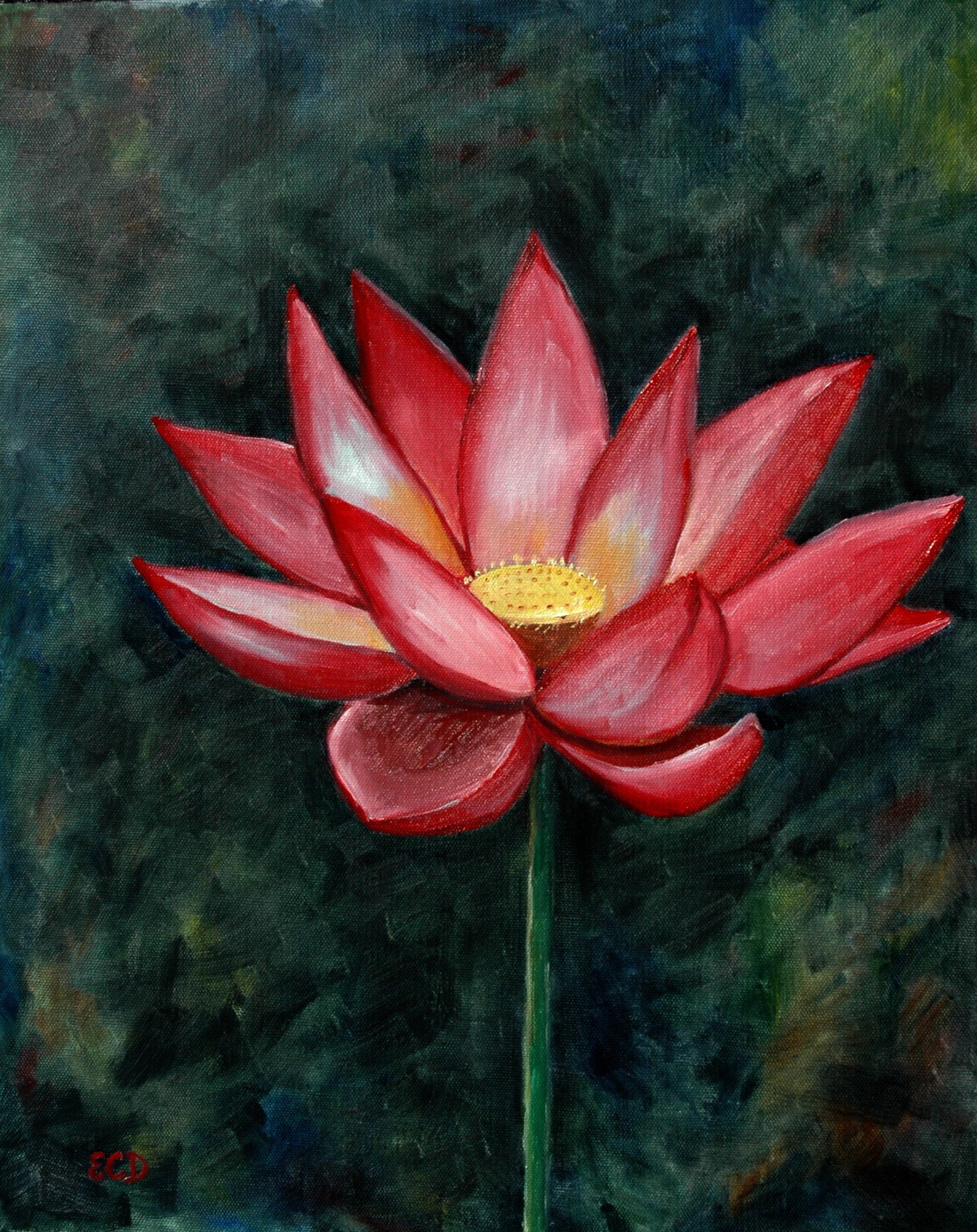 Red lotus flower benefits