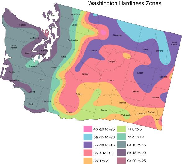 Characteristics of Washington Planting Region