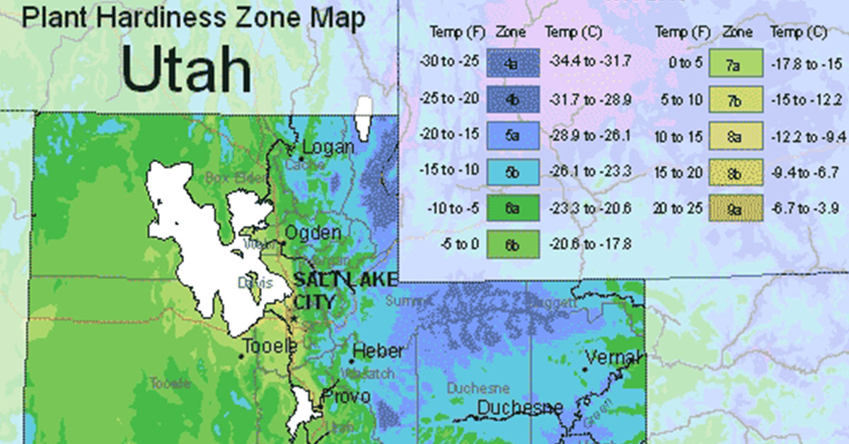 2. Extreme Temperature Fluctuations